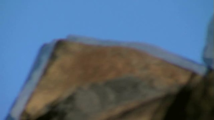 鹰在岩石上低空飞翔，婆罗门风筝，秃头海鹰