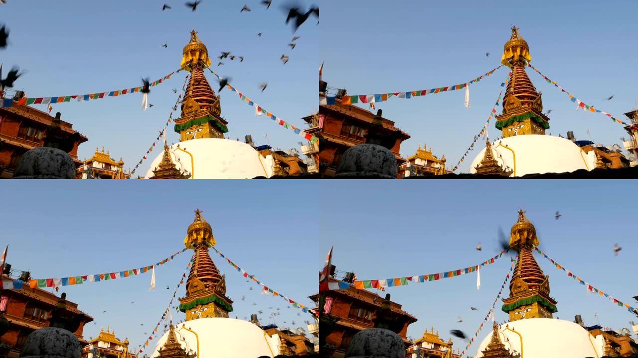 多彩的经幡迎风飘扬在尼泊尔的象征——佛塔和加德满都的佛眼上。日落重度。藏传佛教。鸽子飞过古老的建筑