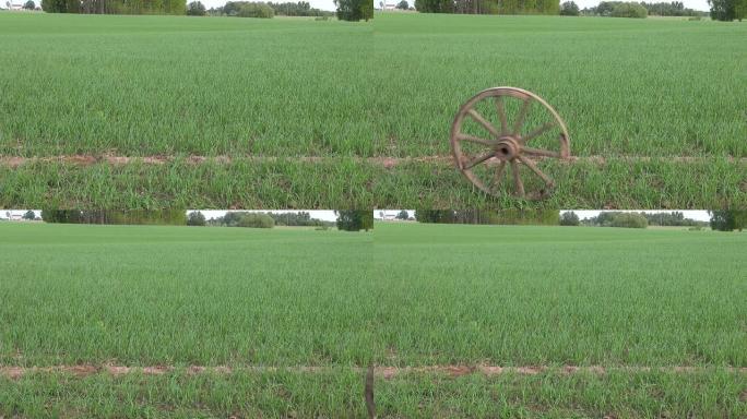 旧马车车轮在农田上滚动