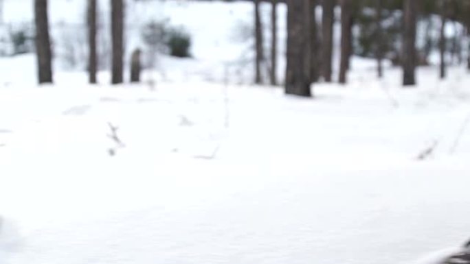 人的脚在雪地上行走的特写镜头。慢动作拍摄