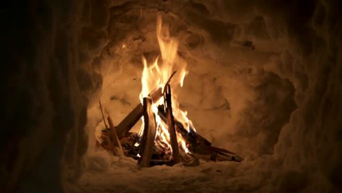 生存专家点燃的火在寒冷的夜晚提供热量