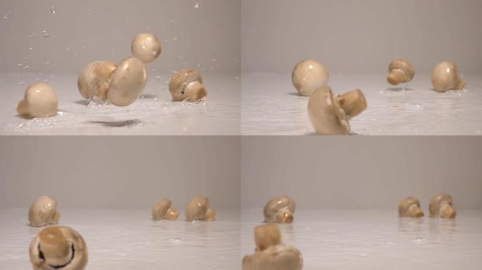 蘑菇落在白色背景的白色桌子上的水中。慢动作240 fps