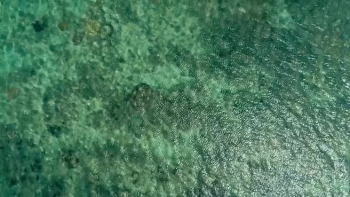 一个巨大的珊瑚礁的令人惊叹的空中无人机图像，在平静的天气平坦的海水和令人难以置信的五颜六色的海洋床周