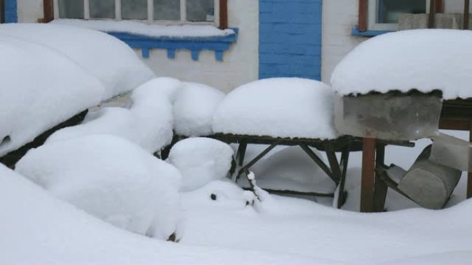 村里一栋民房的院子里降下了大雪。