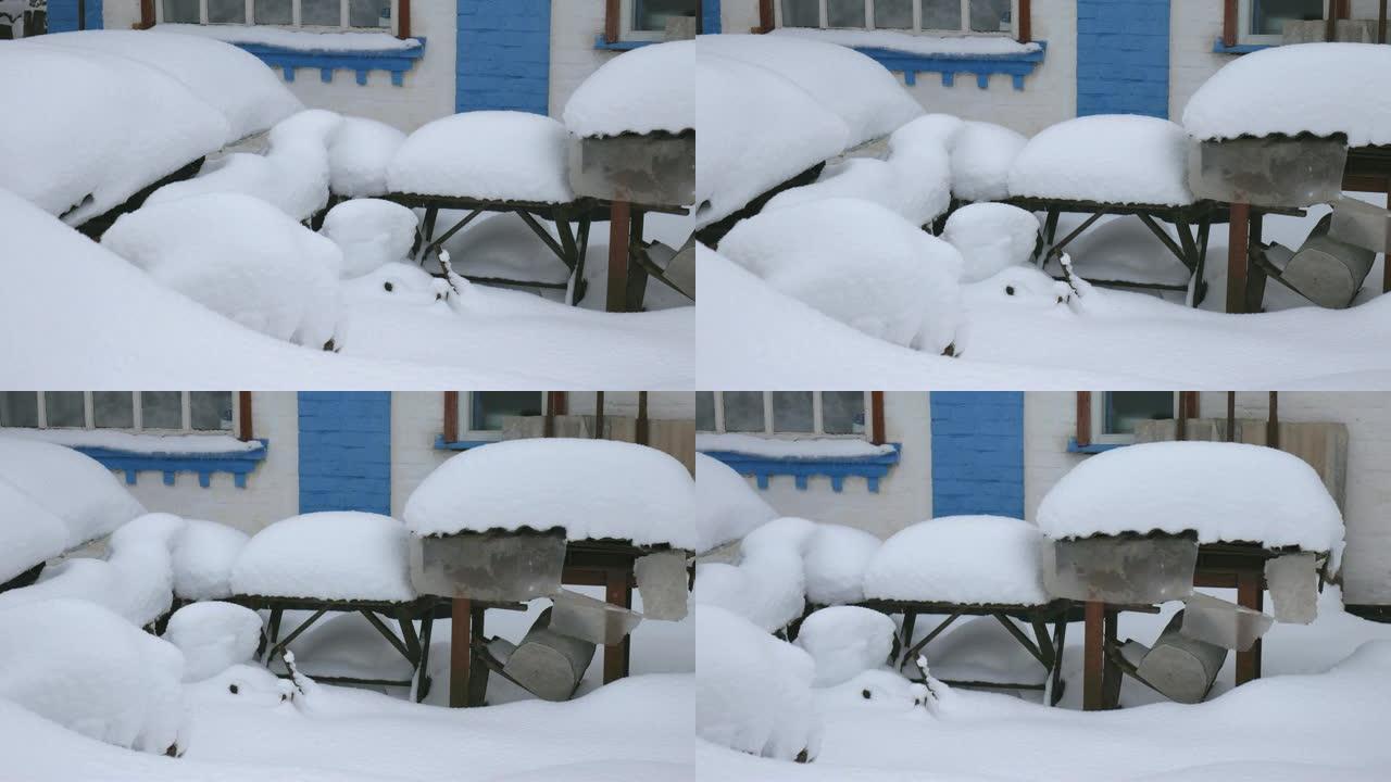 村里一栋民房的院子里降下了大雪。