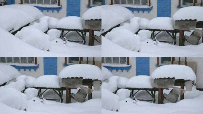 村里一栋民房的院子里降下了大雪。