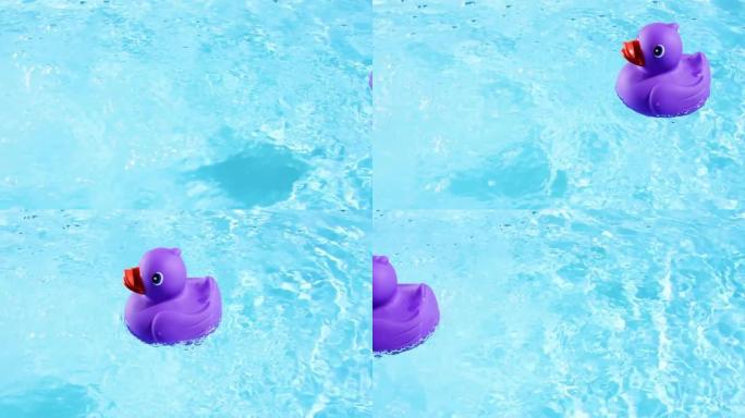 一只紫色的橡皮鸭从右向左游动，在夏日灯光下清澈的水池水面上