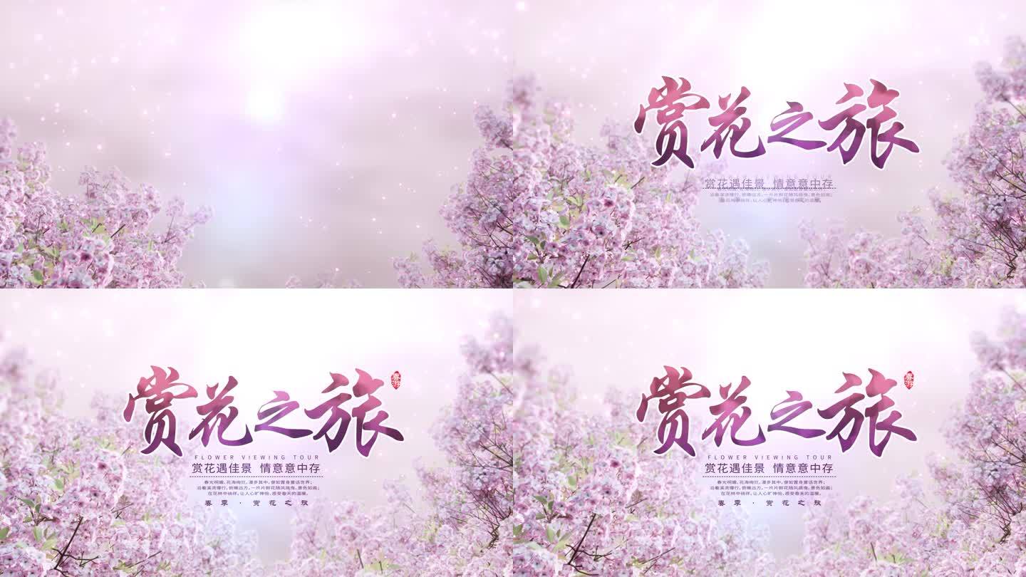 春季赏花之旅AE片头模版