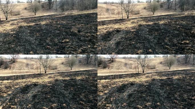 去年干草的春天燃烧。草火了一群乌鸦，受惊，飞走了。人们可以在春天的草地上看到烧焦的植被和灌木残骸。