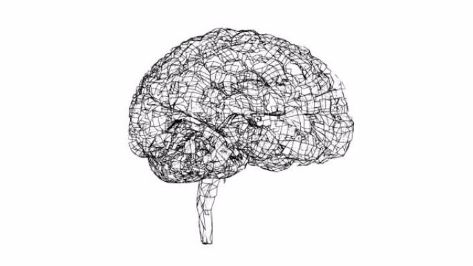 数字线条创造人脑形状，数字概念