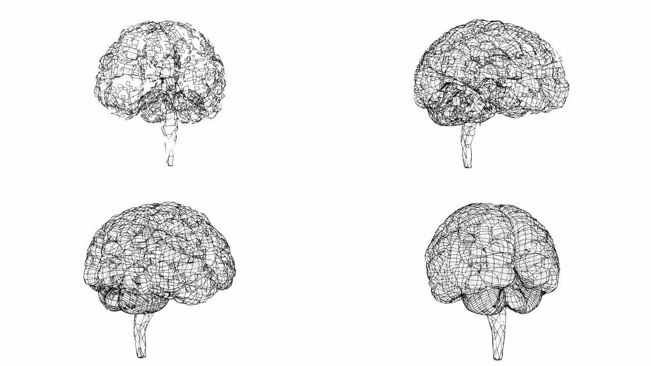 数字线条创造人脑形状，数字概念