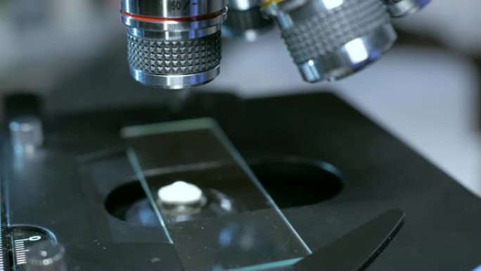 科学家在实验室中用微量移液器在载玻片上从试管中添加液体的特写镜头。在实验室中使用移液器显微镜研究样品
