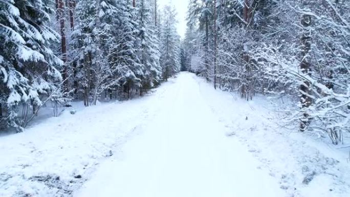 冬季景观。冬季道路鸟瞰图