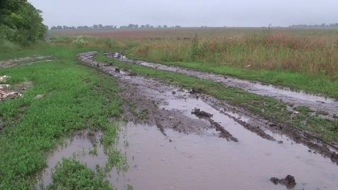 泥泞的土路，水坑在雨中穿过田野