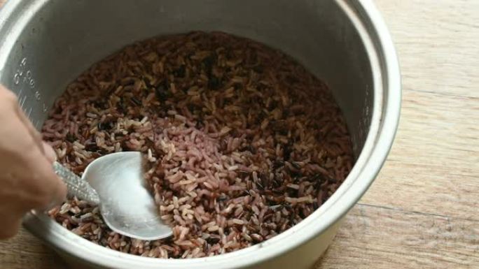 用钢包舀的电饭煲中发芽的紫色糙米