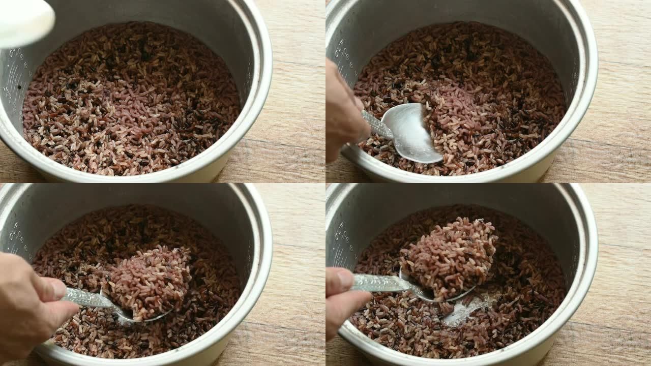 用钢包舀的电饭煲中发芽的紫色糙米