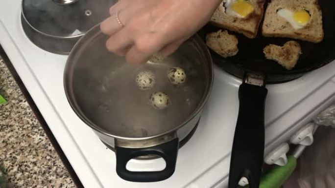 做饭的女人。他把鹌鹑蛋放在沸水里。在锅里，鹌鹑蛋在烤面包中油炸