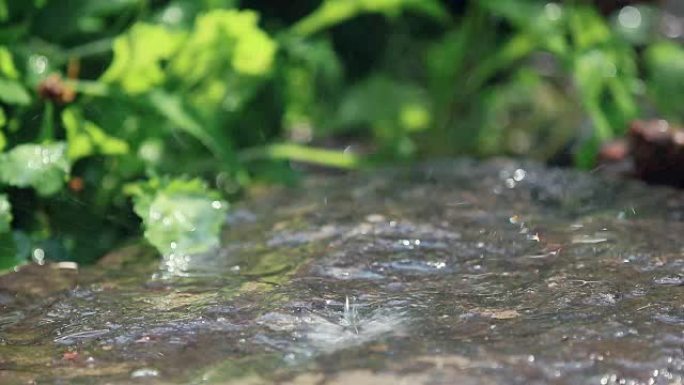 雨滴落在花园里的花岗岩上。水滴滴在湿石头上。循环，动态场景，调色视频。