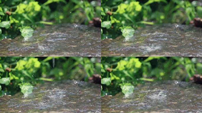 雨滴落在花园里的花岗岩上。水滴滴在湿石头上。循环，动态场景，调色视频。