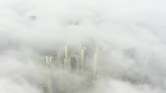 被晨雾包裹的城市c