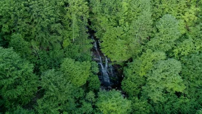 绿色森林和瀑布的空中拍摄