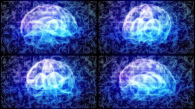 脑神经连接回路的抽象技术背景
