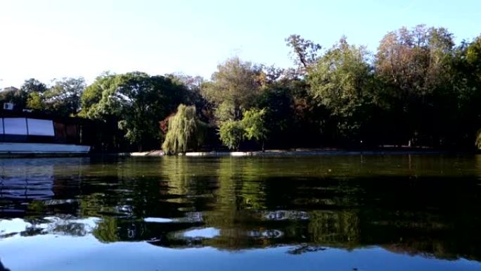 湖附近的彩树