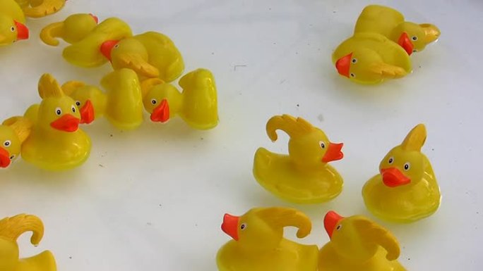 白色漂浮在水中的玩具鸭子