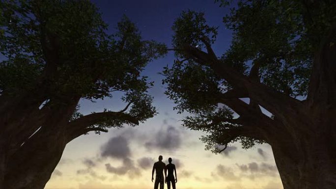 夫妇在树木之间观看日出，时光倒流，夜以继日