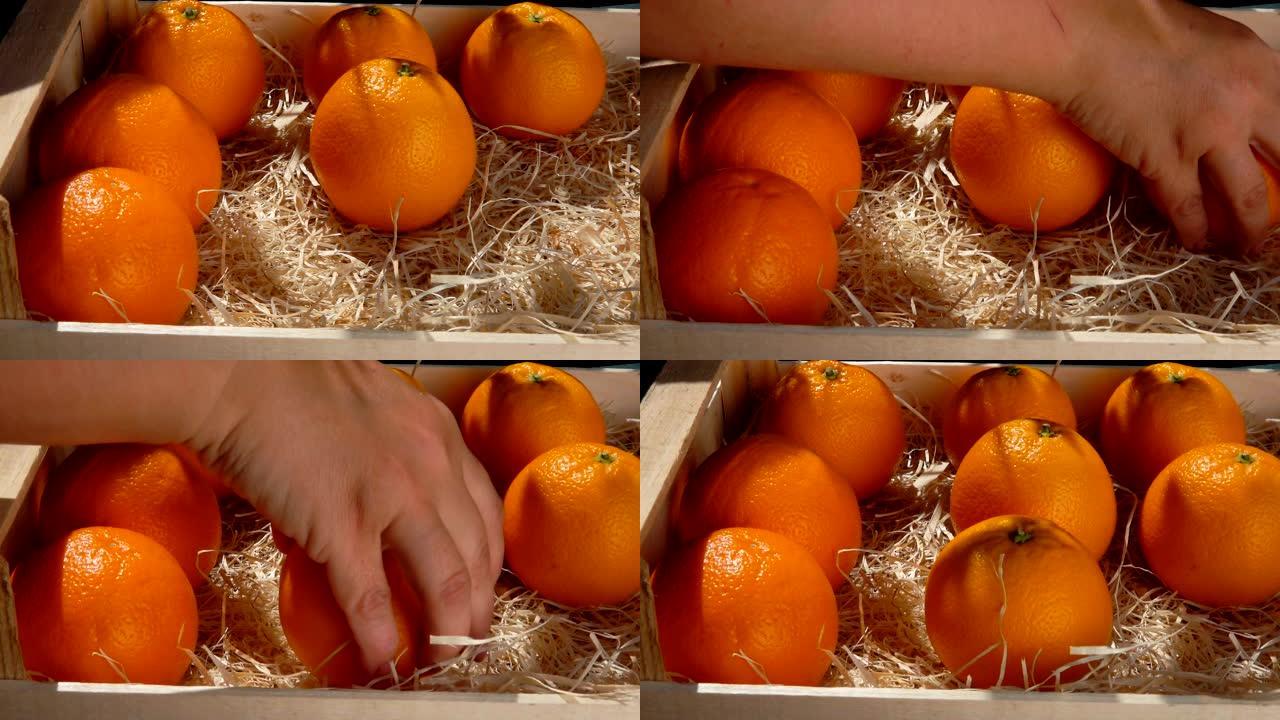 手将成熟多汁的橙色放在木箱中