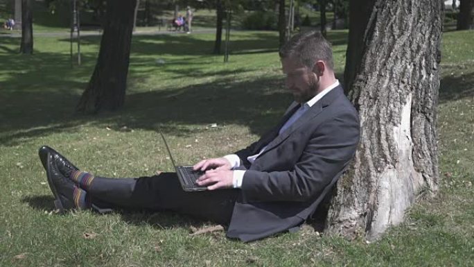 商人坐在公园的树下，在笔记本电脑上工作。