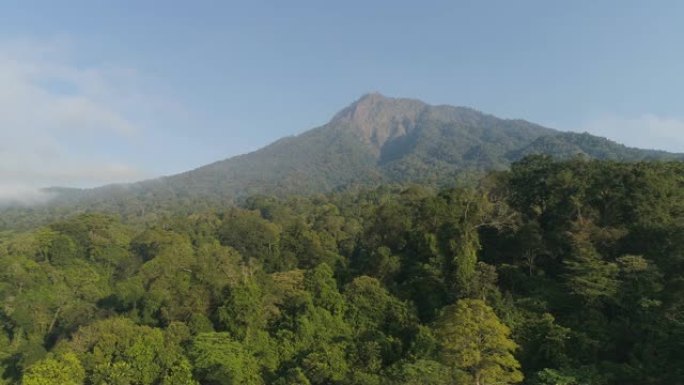 热带景观，雨林和山脉