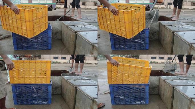 使用手网将活鱼从金属钓鱼箱转移到塑料箱中