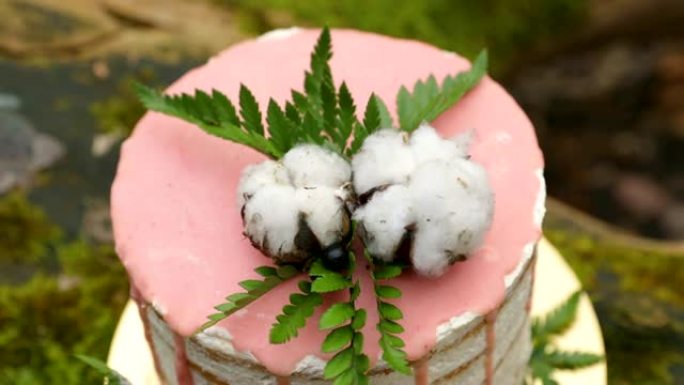 婚礼前装饰有粉红色顶部和淡奶油的婚礼蛋糕，仪式在森林中间的树干上覆盖着黑色苔藓