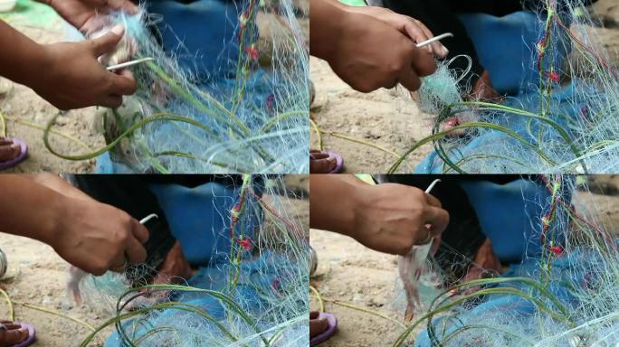 渔民从网中拉出螃蟹