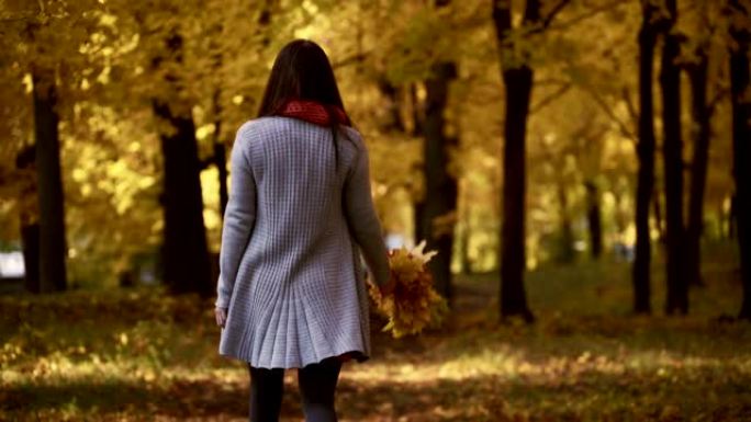 年轻女孩秋天在公园里散步，手里拿着树叶