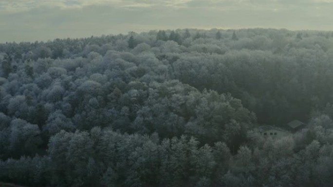 在冰冻的树林旁边飞行的空中