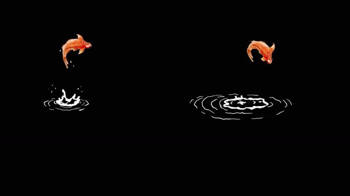 锦鲤跳跃动画 鱼跃出水面 鲤鱼