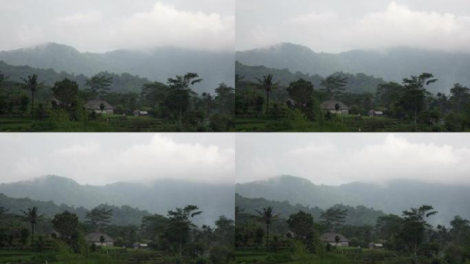 有雨的早晨在热带到一个花园。太阳从山上升起，巴厘岛。印尼