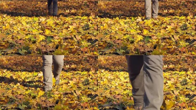 男人走在倒下的黄叶上。