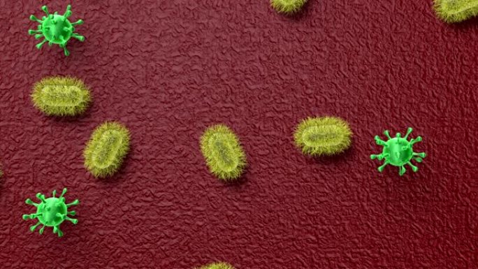 脏苹果上的微观世界 (放大病原微生物和病毒的视图)。安全和卫生概念。