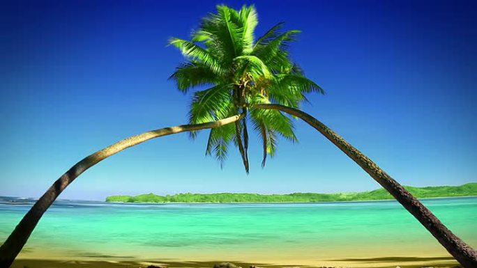 一对椰树缠绕成拱门，斐济。