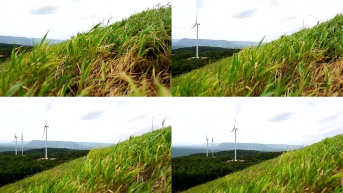 带有风力涡轮机的草原景观