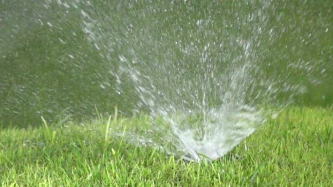在阳光明媚的日子里，用绿色明亮的短毛草坪草自动浇水系统喷水喷嘴的关闭