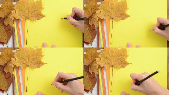 在纸板箱纸上画叶子