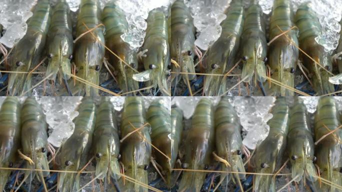 河虾和冰上新鲜海鲜的特写
