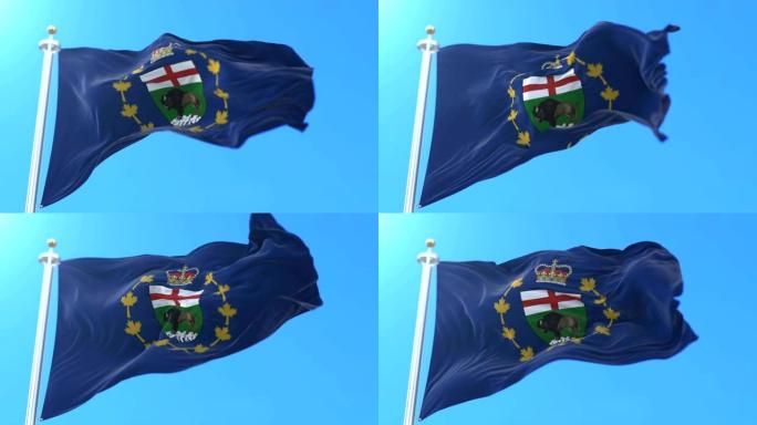 加拿大马尼托巴省副省长的旗帜。循环