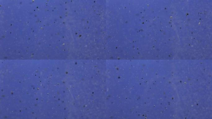 水中活性炭粉末 (蓝色背景)