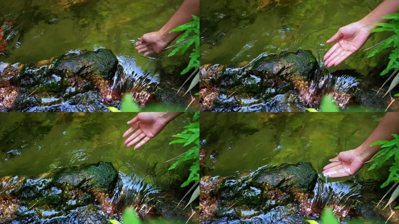 女人在森林里的小溪上抚摸清澈的水。人与自然共同生活。不插电的生活概念。绿色季节。慢动作镜头