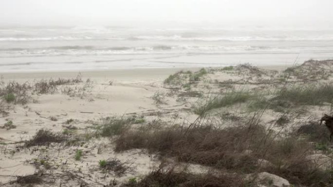 波涛在雾蒙蒙的海滩草原帕德里岛国家海滨墨西哥湾海岸德克萨斯州滚动